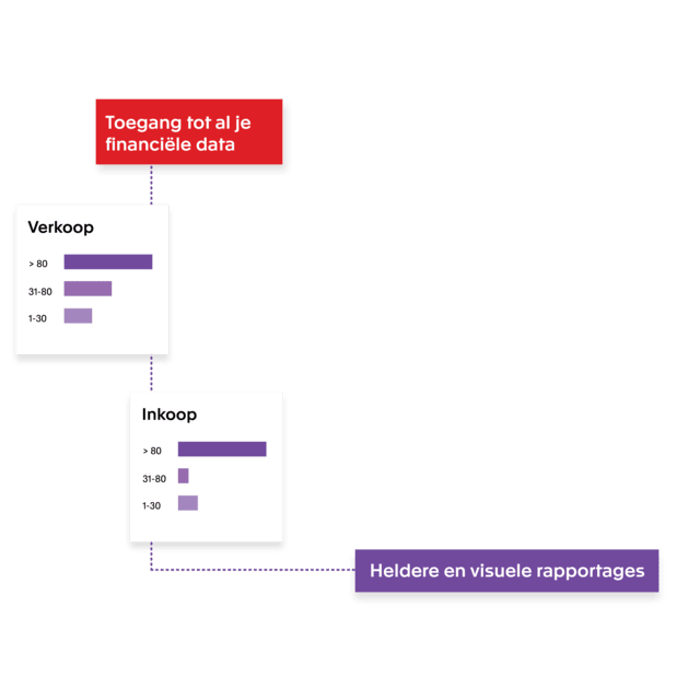 Heldere en visuele rapportages